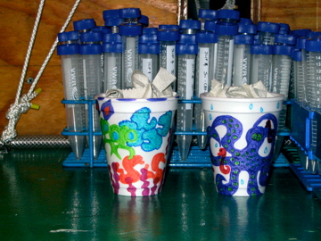 Here's what the cups look like before they've gone down to 3000 meters